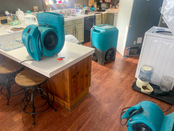 Best Water damage cleanup near me  in Prairie City, IA