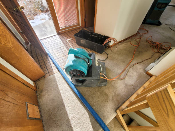 Best Water damage restoration mold remediation  in Prairie City, IA