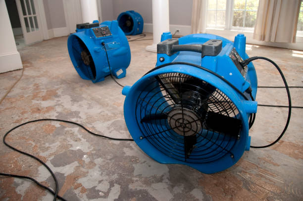 Best Water damage contractors near me  in Prairie City, IA