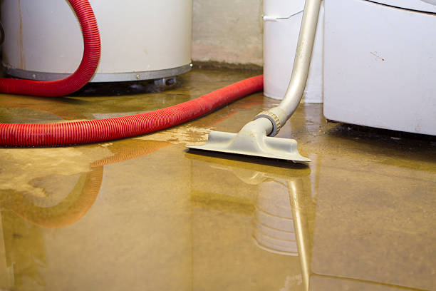 Best Water damage restoration near me  in Prairie City, IA