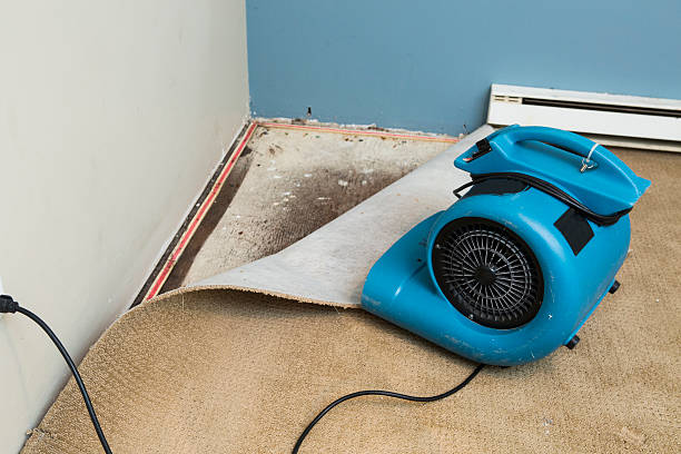 Water damage restoration mold remediation in Prairie City, IA
